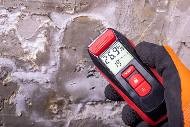 Butler, OH Mold Removal Company