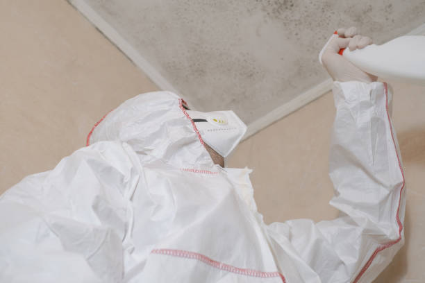 Trusted Butler, OH Mold Removal Experts